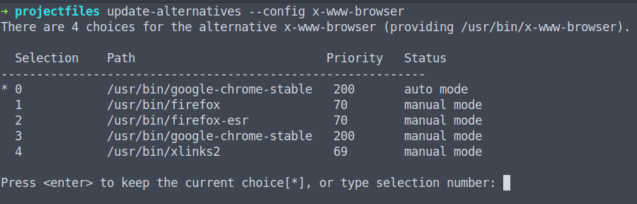 browser-issue